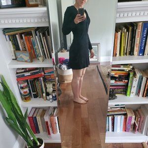 Wilfred Free Vivienne Mini Dress with Buttons